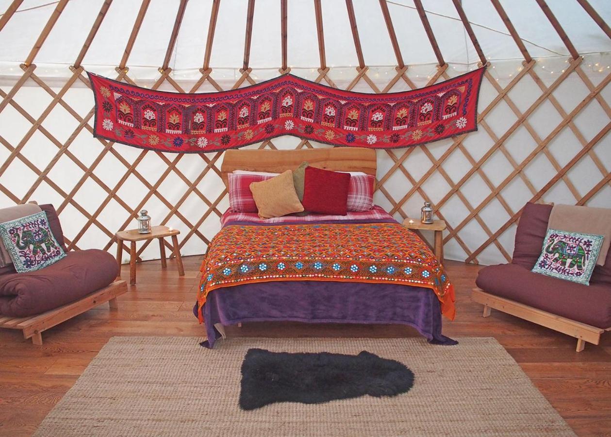 Florence Springs Glamping Gumfreston Exterior foto